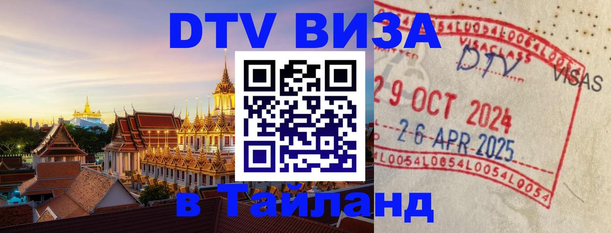 Сколько стоит DTV виза — актуальные цены, оформление даже без документов - Каракас 